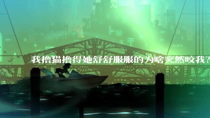 我撸猫撸得她舒舒服服的为啥突然咬我？